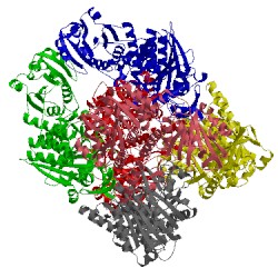 Image of CATH 5nsk