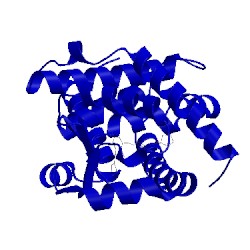 Image of CATH 5ntp