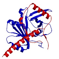 Image of CATH 5o9e