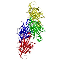 Image of CATH 5ocr