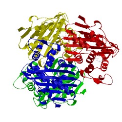 Image of CATH 5oe2