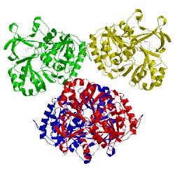 Image of CATH 5oe6