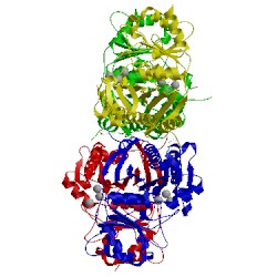 Image of CATH 5oey