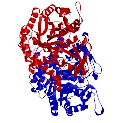 Image of CATH 5okh