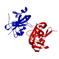 Image of CATH 5ol6