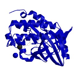 Image of CATH 5op7