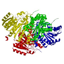 Image of CATH 5pgx