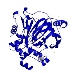 Image of CATH 5phi