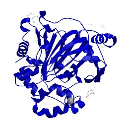 Image of CATH 5phm