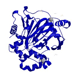 Image of CATH 5pil