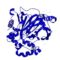 Image of CATH 5pmn