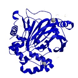 Image of CATH 5pmx