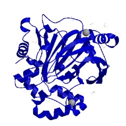 Image of CATH 5pnl