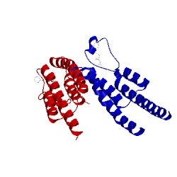 Image of CATH 5pof