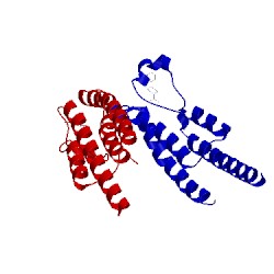 Image of CATH 5pon