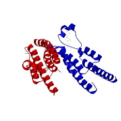 Image of CATH 5poo