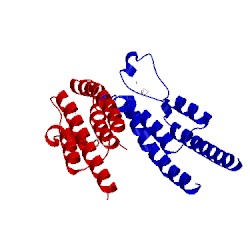 Image of CATH 5prp