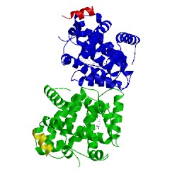 Image of CATH 5q16