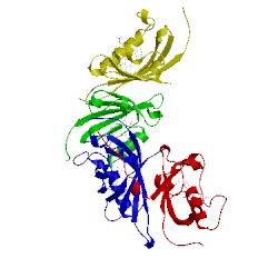 Image of CATH 5svg