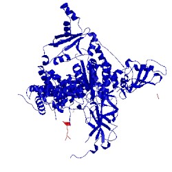 Image of CATH 5sxi