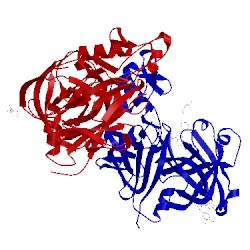 Image of CATH 5sxn