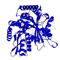 Image of CATH 5syc