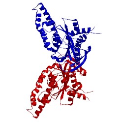 Image of CATH 5syr