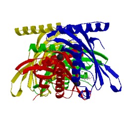 Image of CATH 5szv