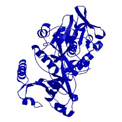 Image of CATH 5t1f