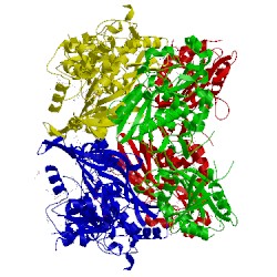 Image of CATH 5t7o