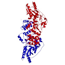 Image of CATH 5t8y