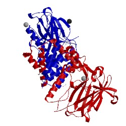 Image of CATH 5td3