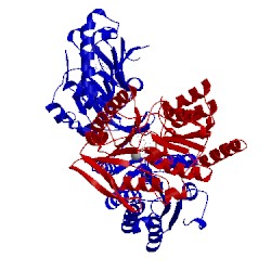 Image of CATH 5tes