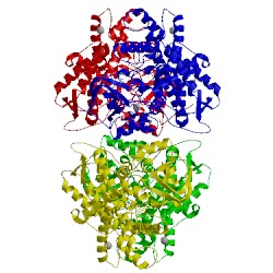 Image of CATH 5tft