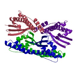 Image of CATH 5tgh