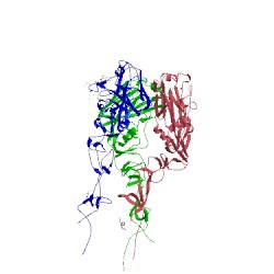 Image of CATH 5tgv