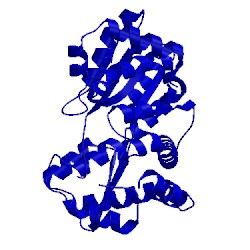 Image of CATH 5thh