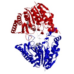 Image of CATH 5thu