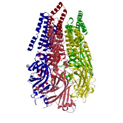 Image of CATH 5tin