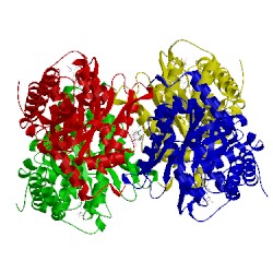 Image of CATH 5tlh