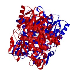 Image of CATH 5tri