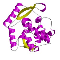 Image of CATH 5trkB02