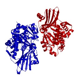 Image of CATH 5ttj