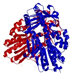 Image of CATH 5tuf