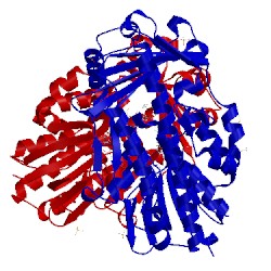 Image of CATH 5tui