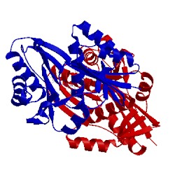 Image of CATH 5tva