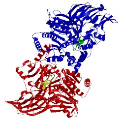 Image of CATH 5txe