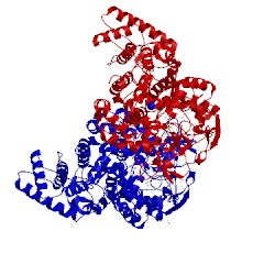 Image of CATH 5txq