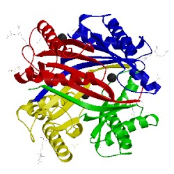 Image of CATH 5u1h