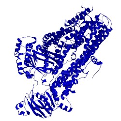 Image of CATH 5uak